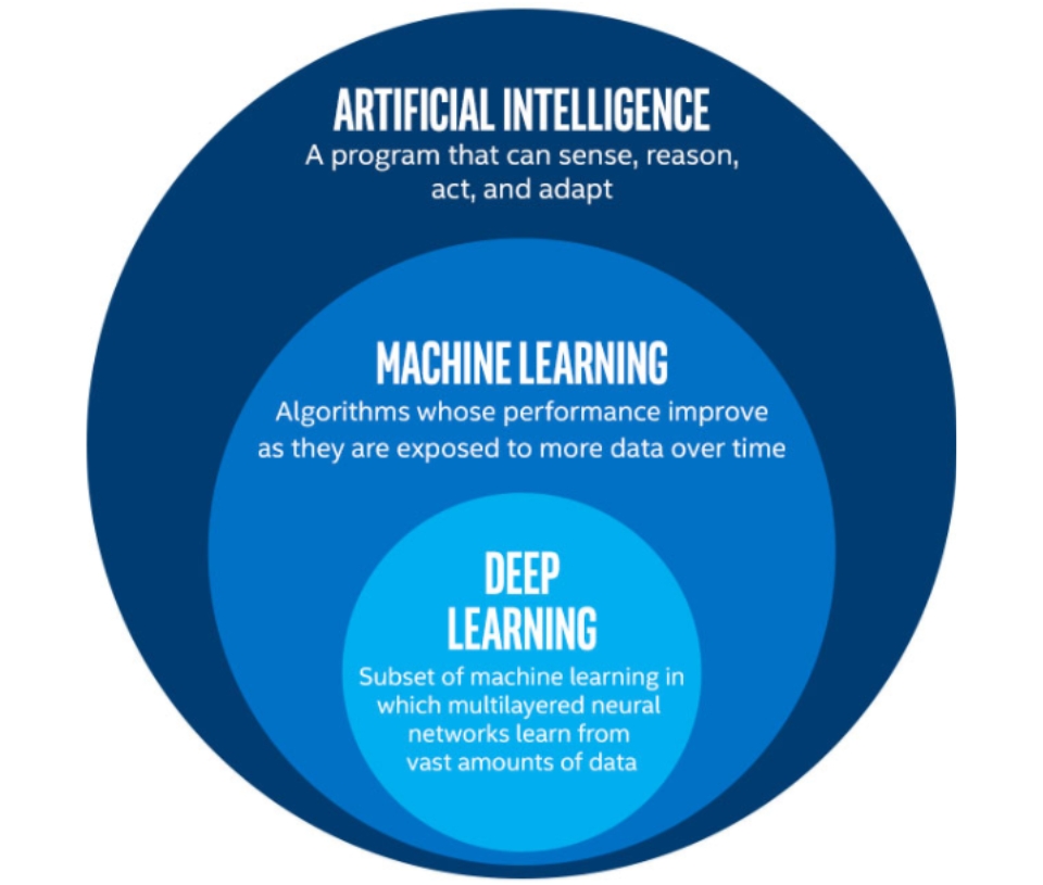 AI vs ML