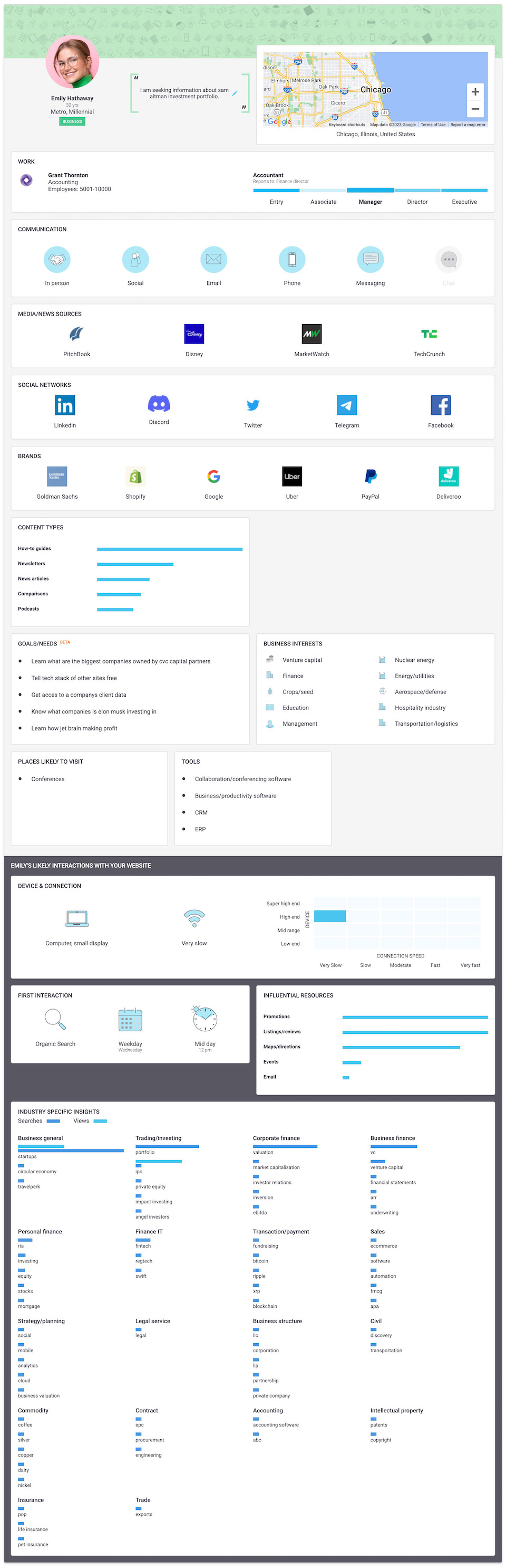 Sample customer persona by Delve AI