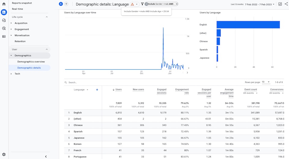 Google Analytics 4 demographics language report