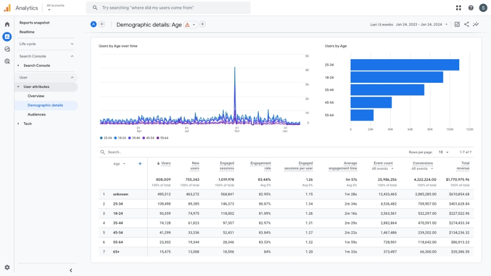 Google Analytics user reports age range