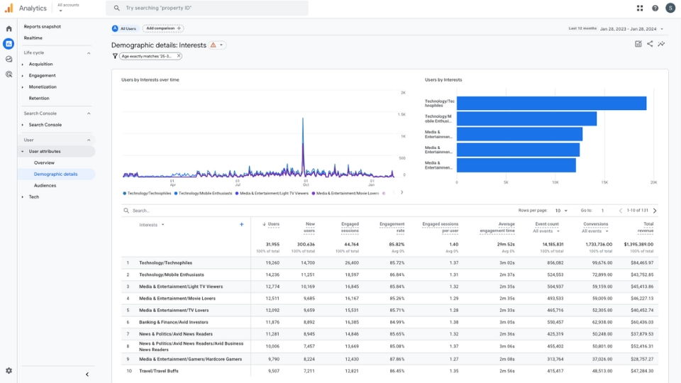Google Analytics user reports interests