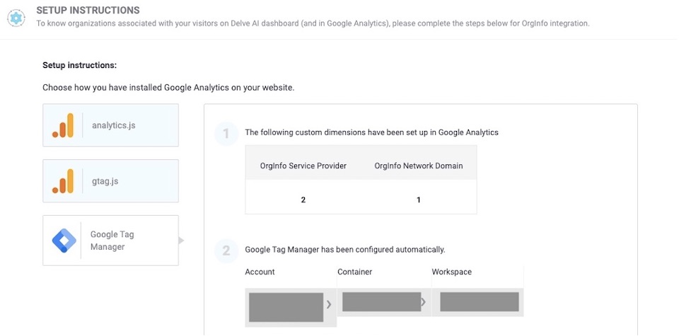 Delve AI organizations tracking using Google Tag Manager - Setup completed