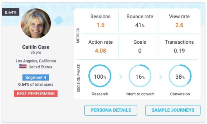 sample of a segment specific persona