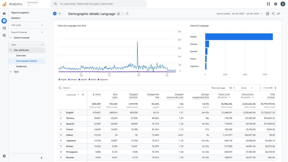 Google Analytics user reports language